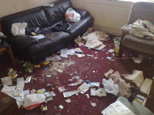 Dirty House